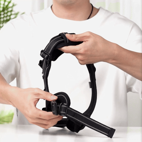 No Pull Dog Harness