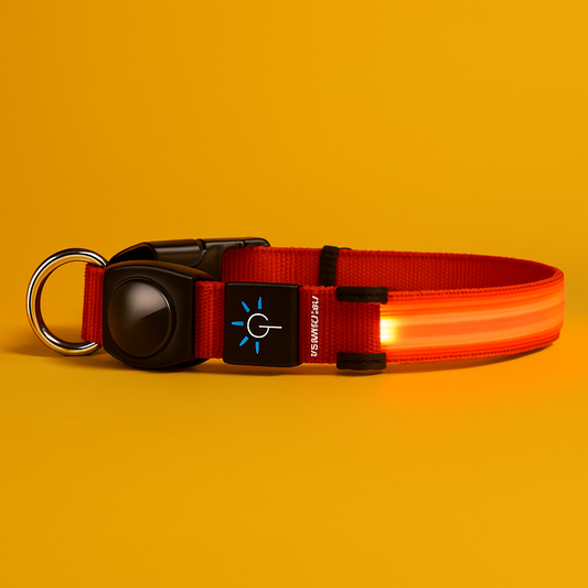 Collar LED para perro